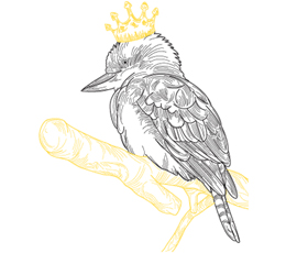 kookaburra-logo-270x230